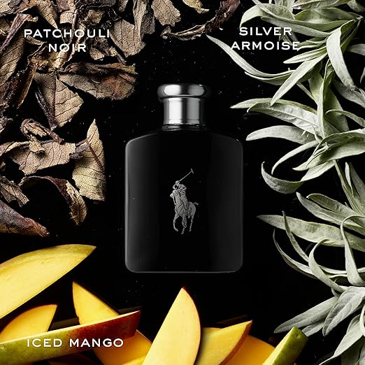 RALPH LAUREN: POLO BLACK